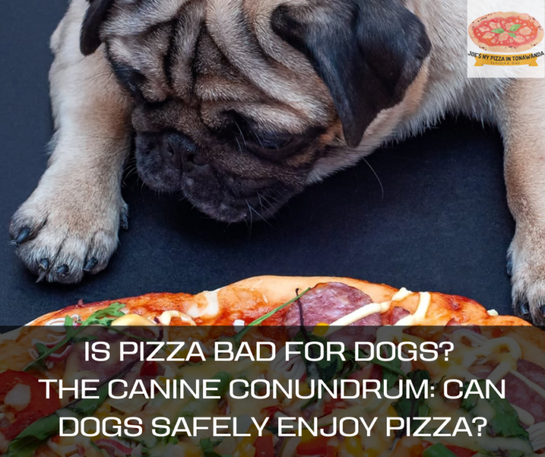 Is Pizza Bad For Dogs? – The Canine Conundrum: Can Dogs Safely Enjoy Pizza?