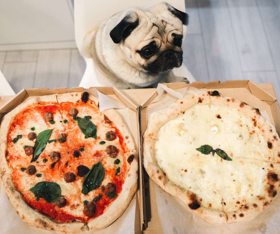 Is Pizza Bad For Dogs?